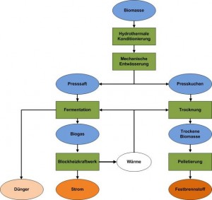 Biomasse-optimierte-Energienutzung.jpg