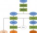Biomasse-optimierte-Energienutzung.jpg