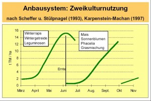 Zweikultursystem.jpg