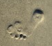 footprintbild