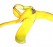 bananapeel_sxc