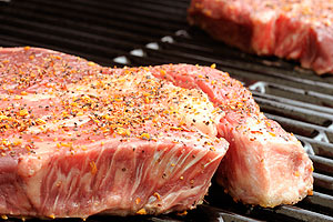 fleisch300sxc