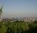 wein300_1