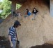 eco_Biomasse