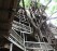 treehouse300