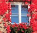 kastenfenster300_R_by_Maren-Beßler_pixelio.de kastenfenster300_R_by_Maren-Beßler_pixelio.de