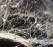 296680_web_R_K_B_by_sparkie_pixelio.de