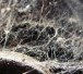 296680_web_R_K_B_by_sparkie_pixelio.de