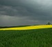 rapsfeld_sxc_300