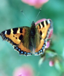 560146_web_R_by_H.-J. Grosche_pixelio.de