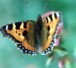 560146_web_R_by_H.-J. Grosche_pixelio.de