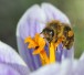 574549_web_R_by_Dr. Klaus-Uwe Gerhardt_pixelio.de