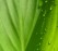 82346_web_R_by_Mario Heinemann_pixelio.de