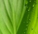 82346_web_R_by_Mario Heinemann_pixelio.de
