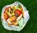 sac de dchets alimentaires pour compost © Patryssia / Adobe Stock