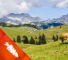 Milchkühe, Alm, Bio