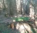 Wald