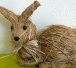 Hase aus Stroh