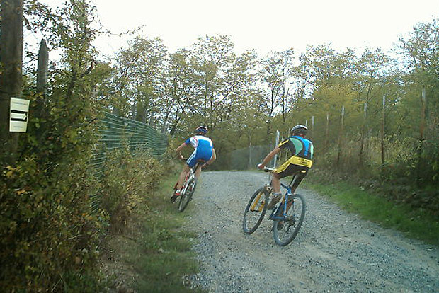 42 Kilometer Herausforderung für Sportliche - in Wien! Die Mountainbike-Strecke Kahlenbergdorf ist zurecht berühmt.