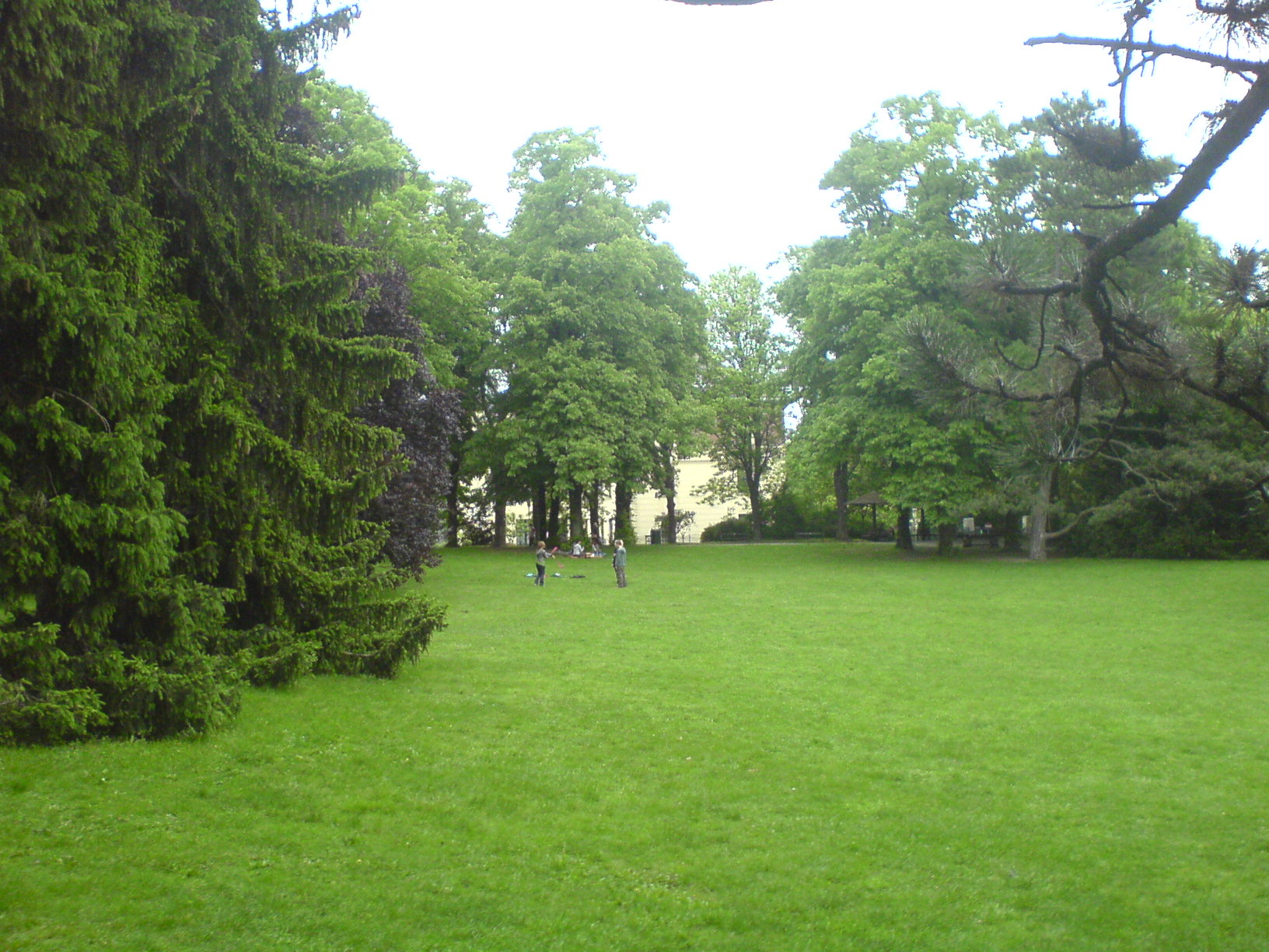 Steigungen, Spielplätze und starke Panoramen: der Türkenschanzpark ist ein Jogging-Gelände für Kenner. Bild: CC