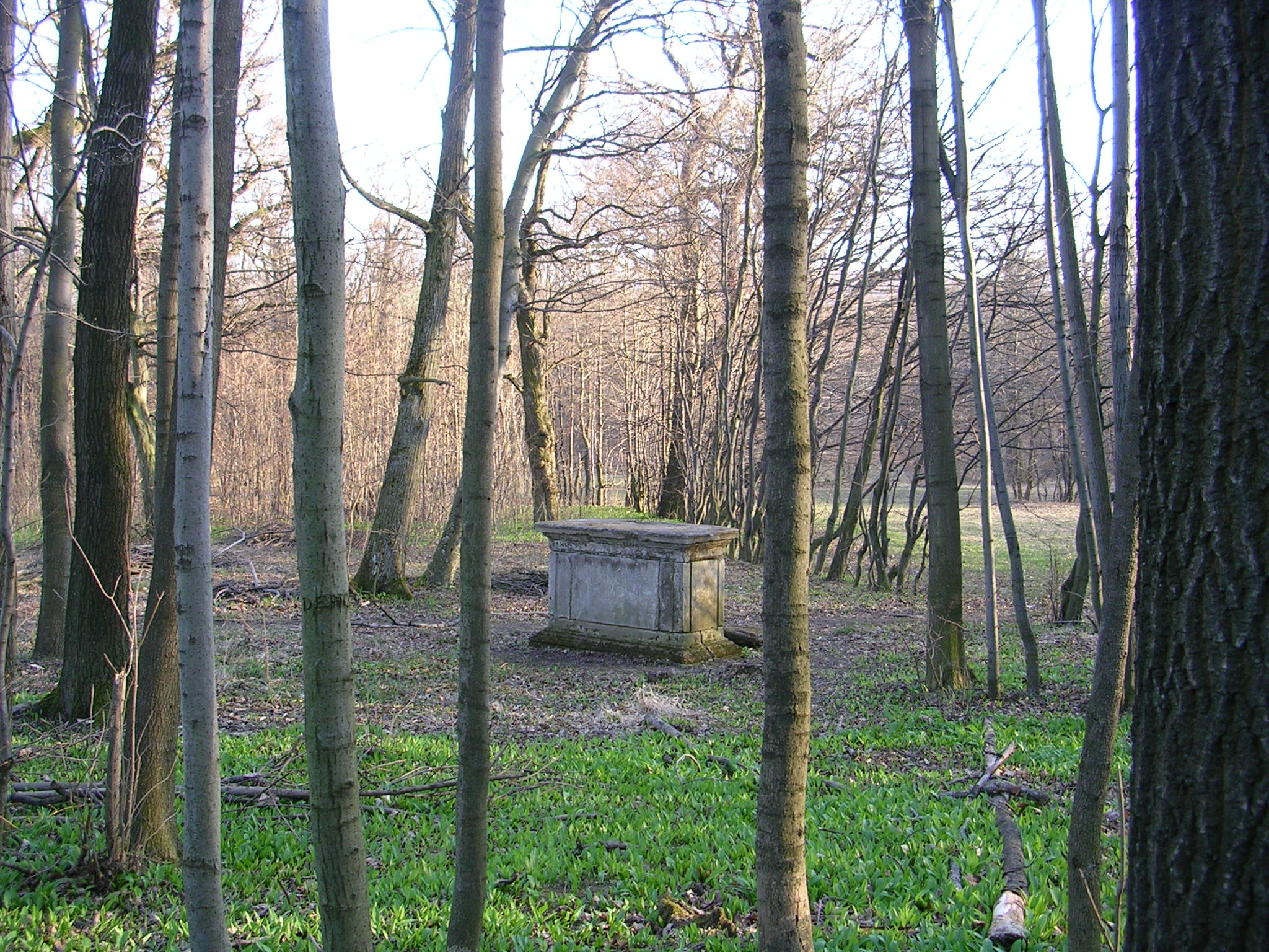 Der Schwarzenbergpark in Neuwaldegg birgt Geheimnisvolles und Märchenhaftes am Rande von Wien.