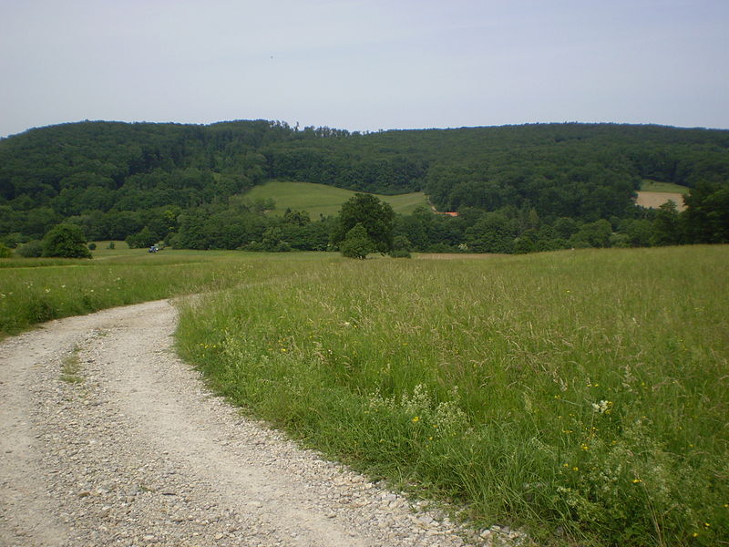 Im tiefen Süden Wiens führt der Stadtwanderweg 6 von Mauer und Rodaun bis auf den Zugberg und durch den Maurer Wald. Bild: eknuf CC