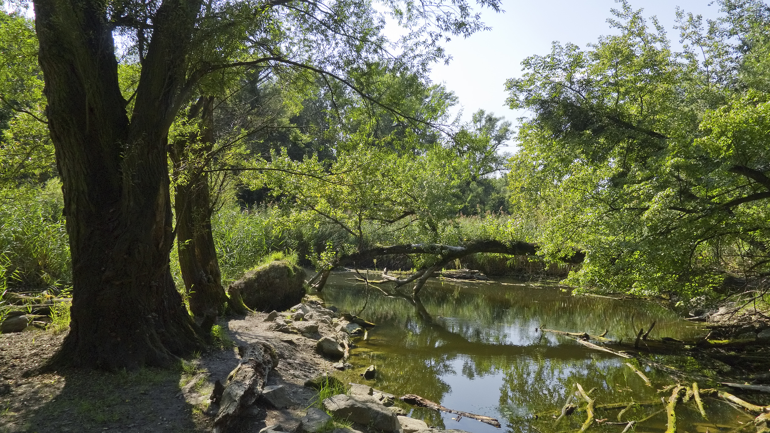 Wer sagt, dass Wandern nur im unebenen Gelände geht? 13 Kilometer Natur findet man auch im Prater. Startpunkt mitten in Wien. Foto: Gugerell CC