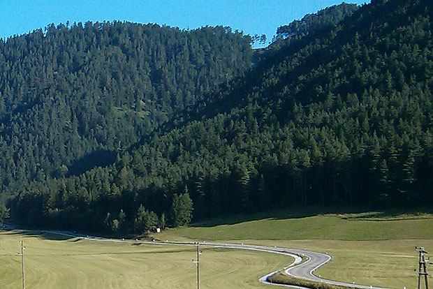 Für richtige Wanderfans: ganze 120 Kilometer lang ist der Rund-um-Wien-Wanderweg 11. Start ist in Heiligenstadt.