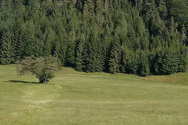 Für Freunde der bewegten Geschichte: Der Napoleon-Rundwanderweg führt 11 Kilometer weit an die Stätten bewaffneter Auseinandersetzungen im frühen 19. Jahrhundert.