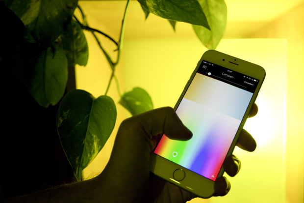 Philips hue