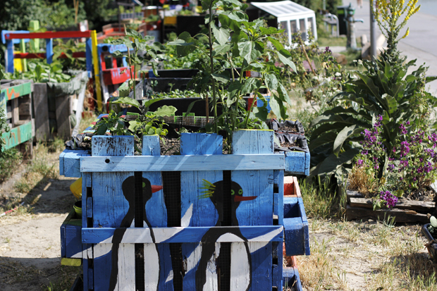 Urban Garden: Gemeinschaftsgarten Donaukanal