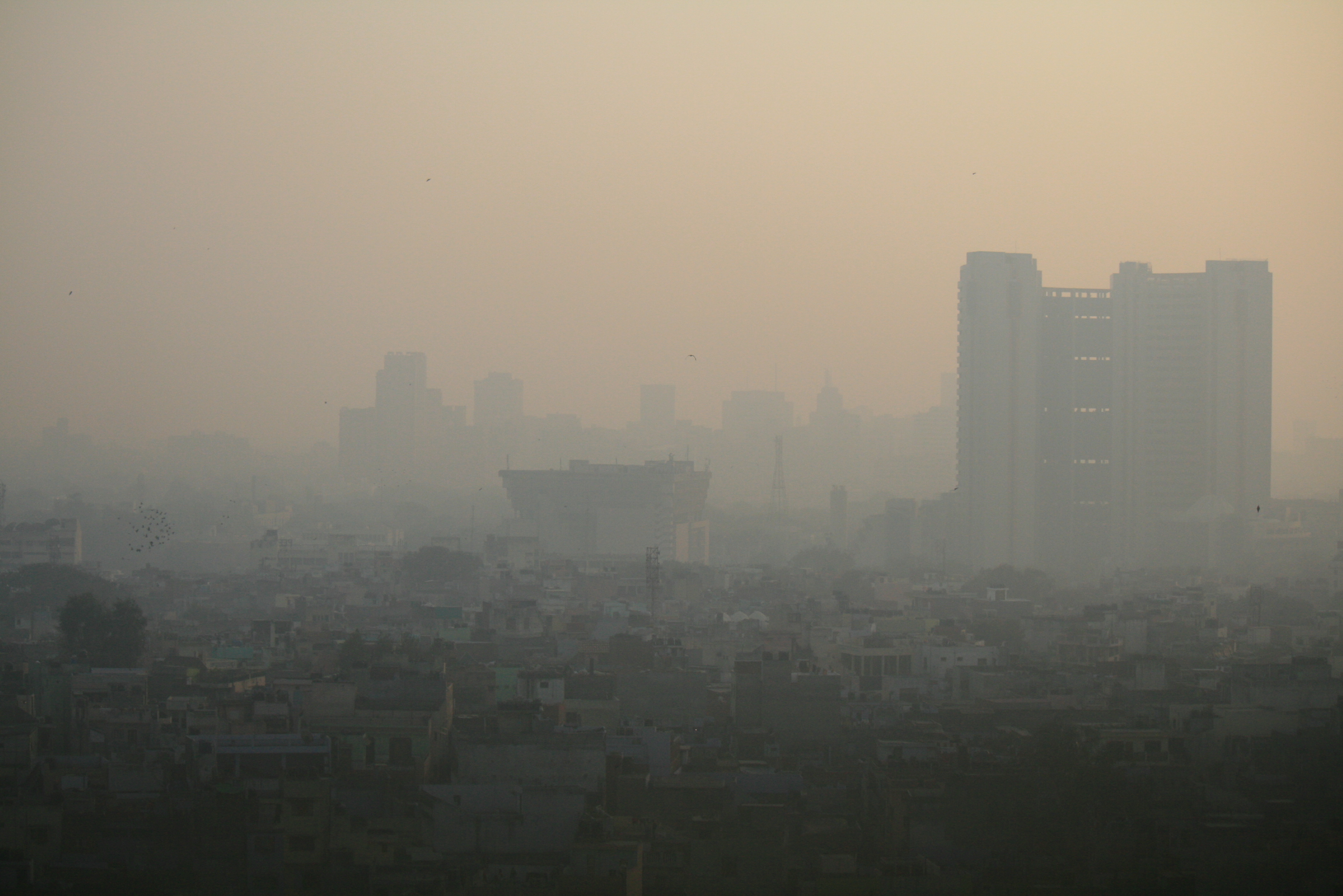 View of West of Delhi © Jean-Etienne Minh-Duy Poirrier / Flickr