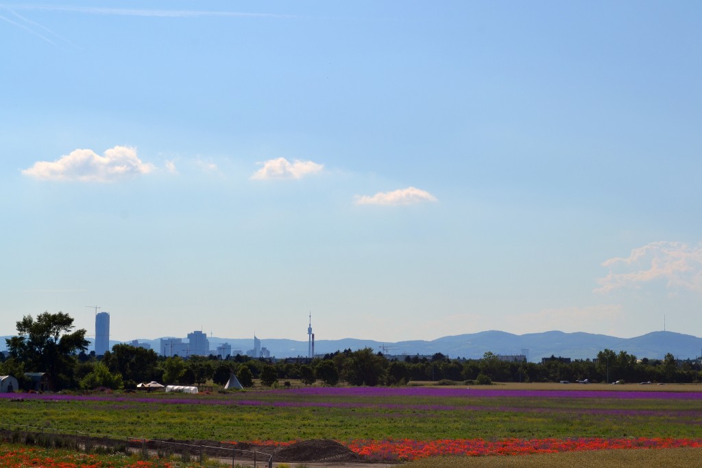 Seestadt Aspern | © Michael Anranter - Flickr