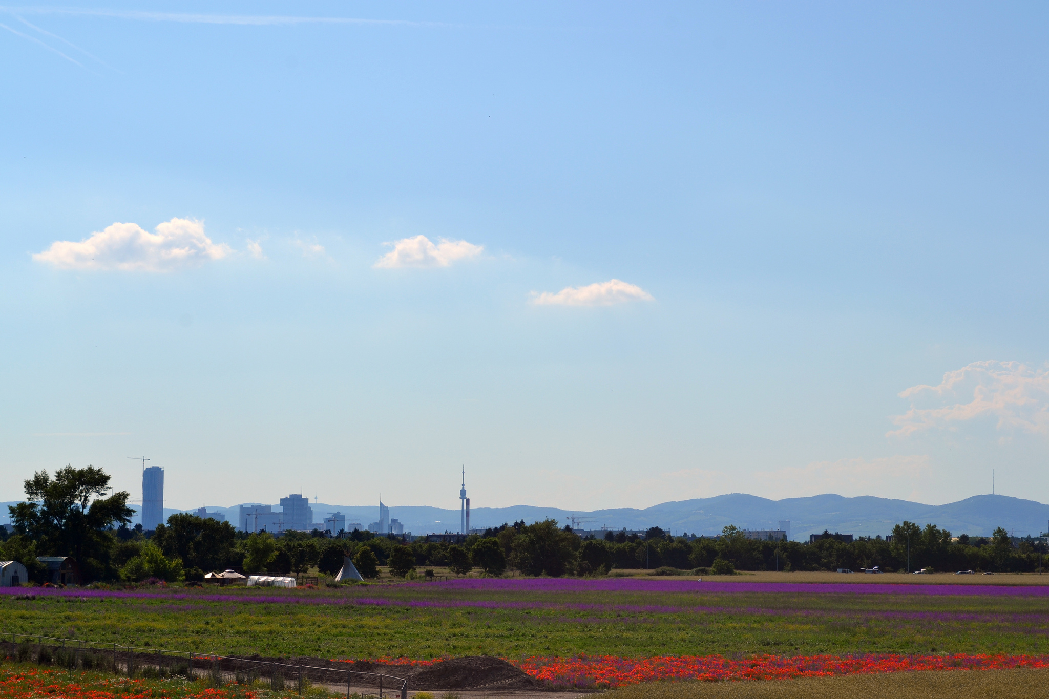 Seestadt Aspern | © Michael Anranter - Flickr