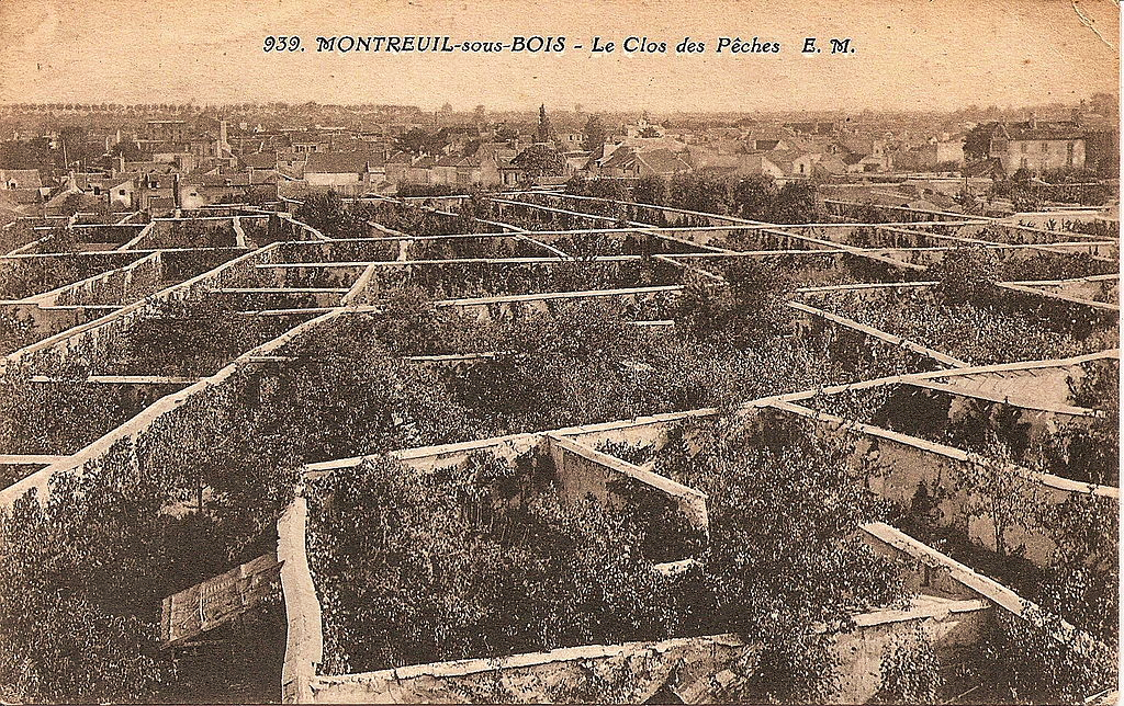 Fruit Walls in Montreuil / Low-Tech Magazine