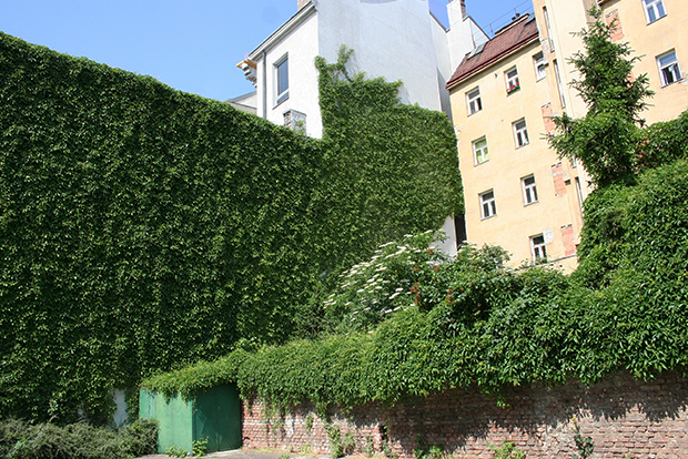 Grüne Gebäude