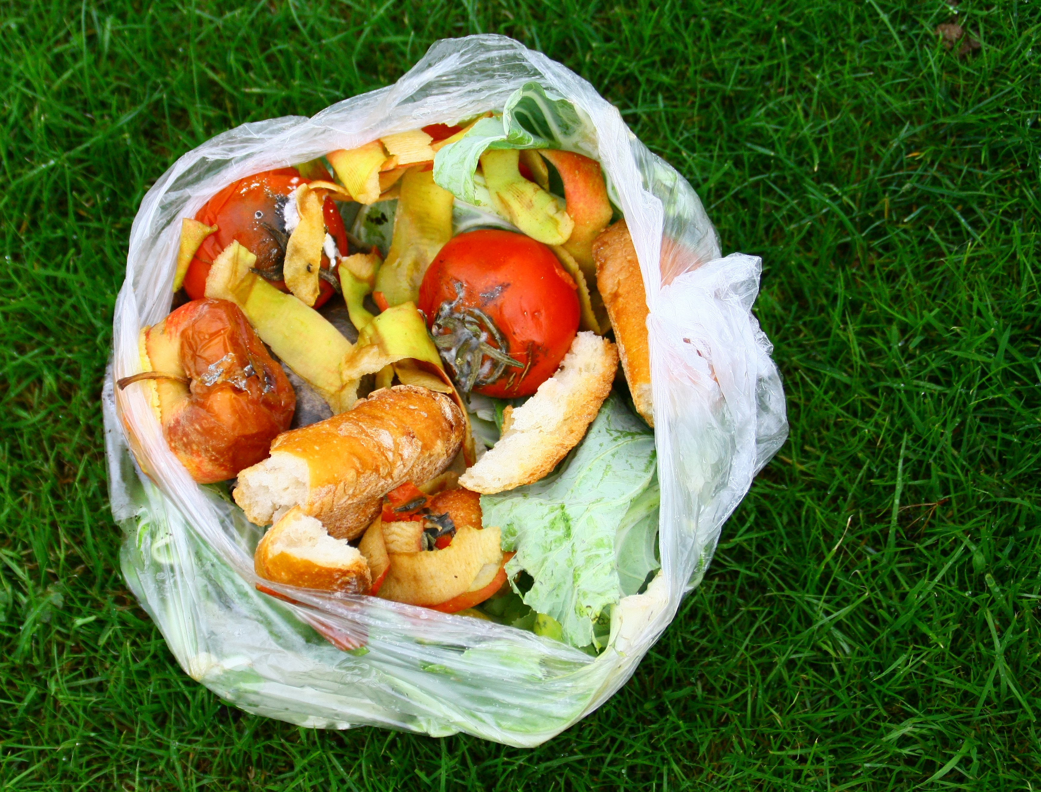 sac de dchets alimentaires pour compost © Patryssia / Adobe Stock