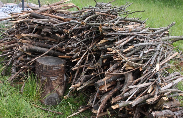 Nützlinge Holz Garten