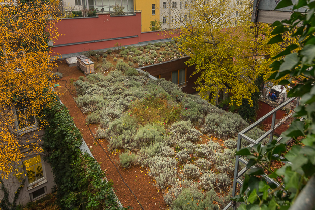 Boutique-Hotel Stadthalle - Dachgarten im Herbst