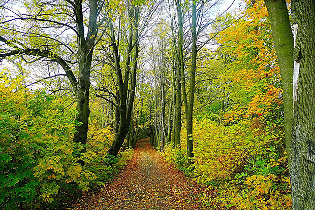 2. Ottakringer Wald