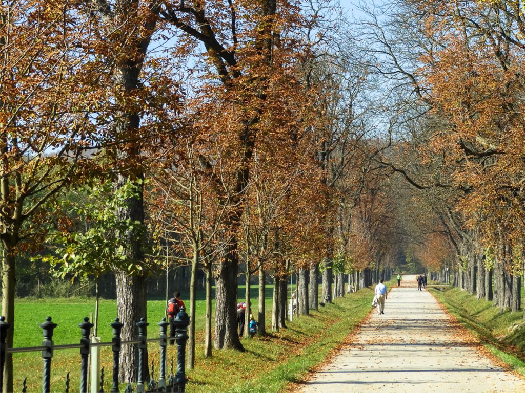 Spaziergang Wien