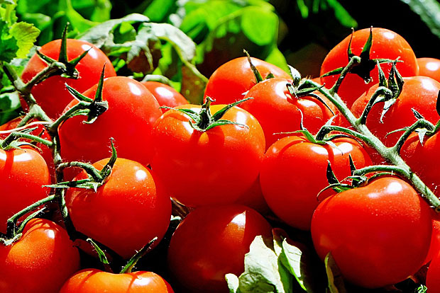 9. Tomaten: Eine der Proben enthielt sogar 15 verschiedene Pestizide