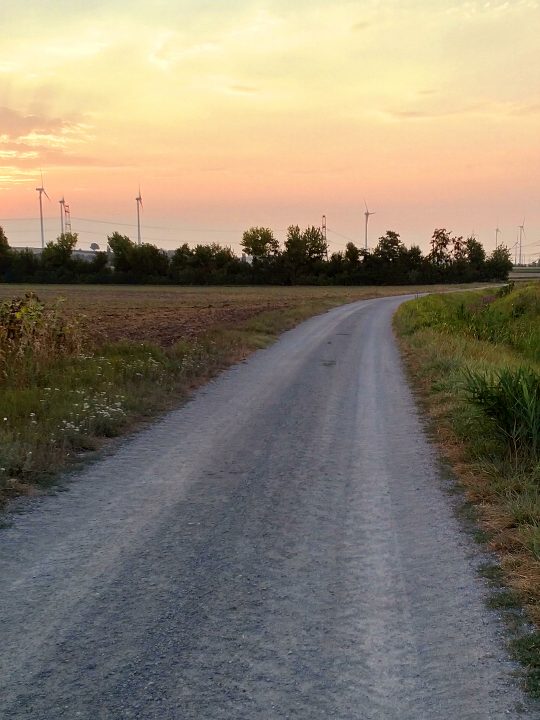 Feldweg bei Sonnenaufgang