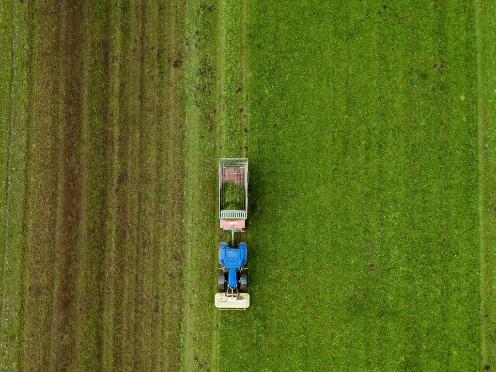 Bio Boom Greenwashing