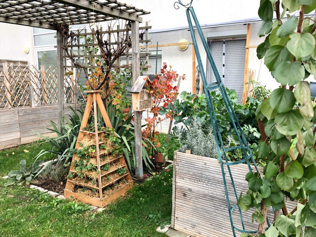 Einen Naturgarten anlegen erste Schritte Energieleben