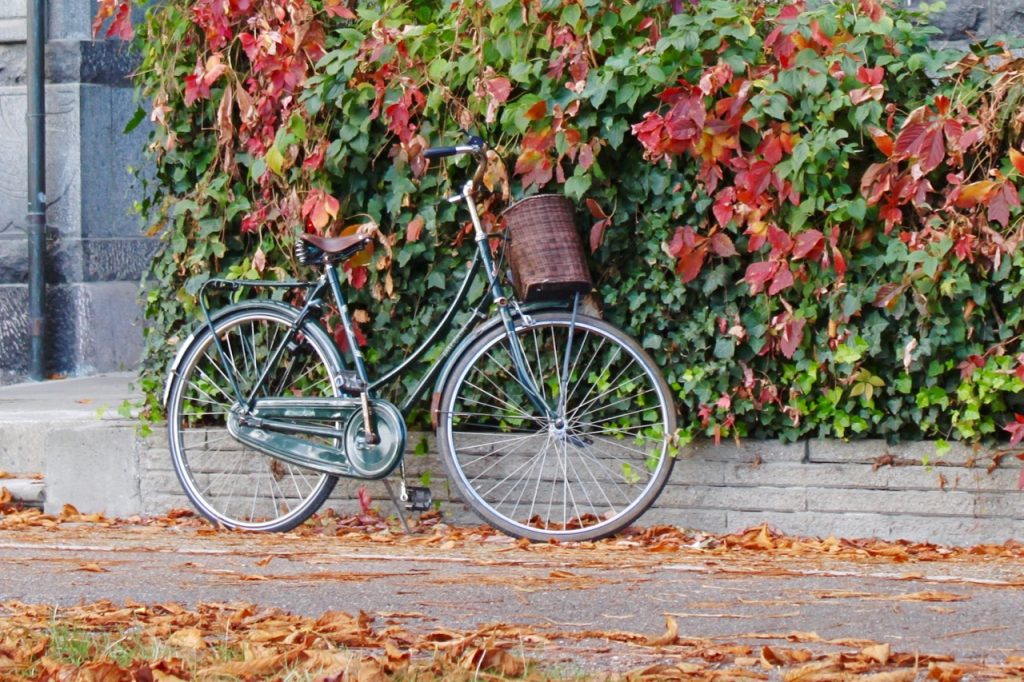 Radfahren im Herbst (C) the green walnuts