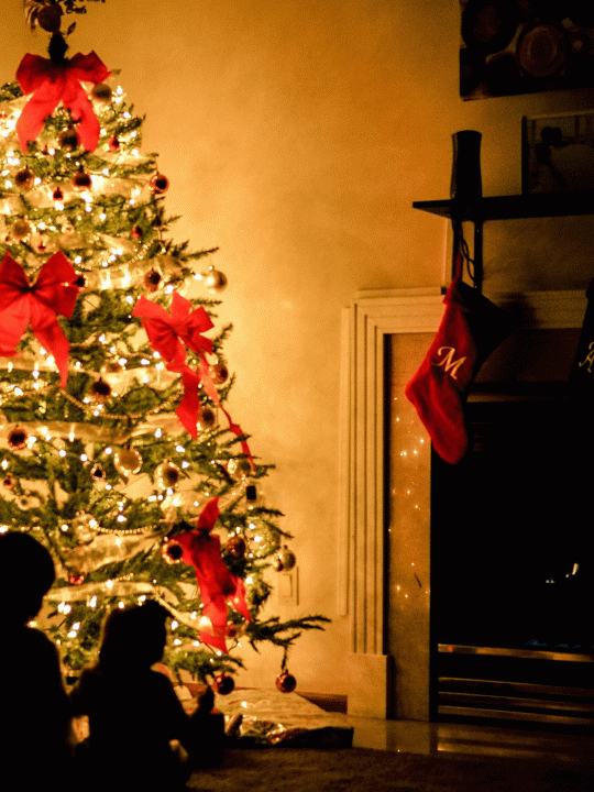 Nachhaltige Weihnachten mit Kindern, Photo von Chris Benson auf Unsplash