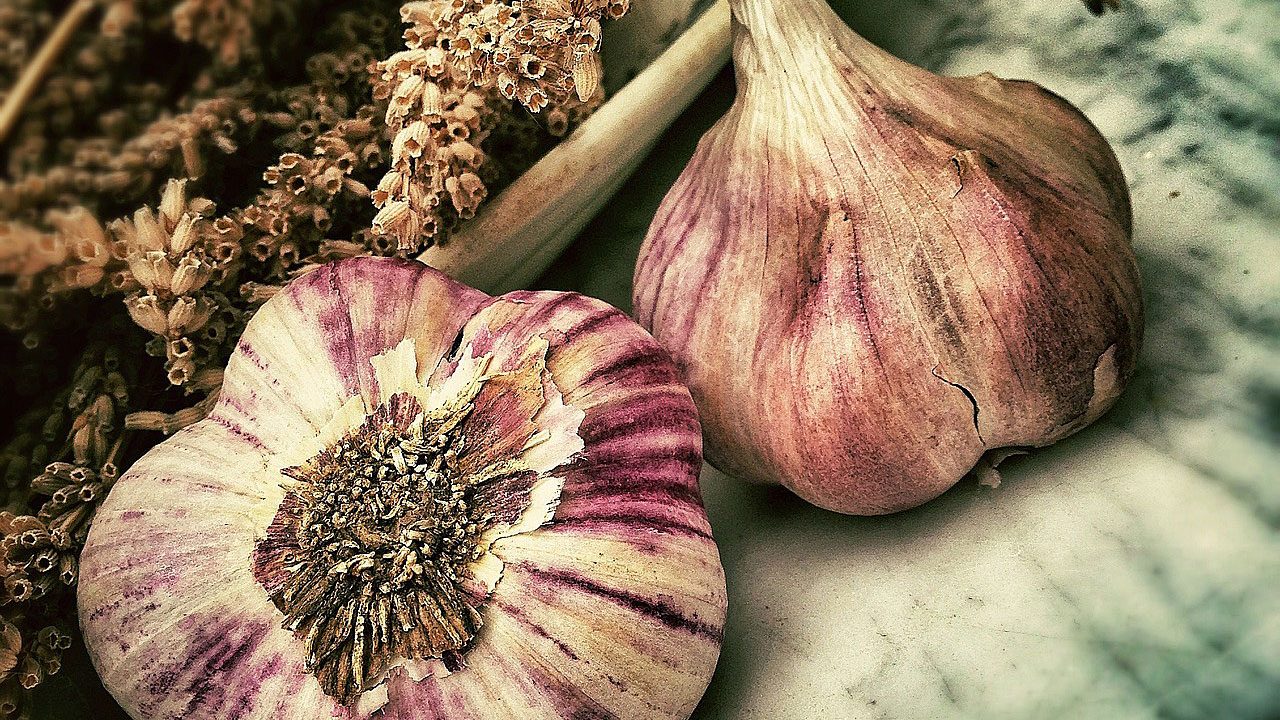 1. Knoblauch sorgt für gute Durchblutung und wärmt deshalb. - Fotocredit: pixabay/LoboStudioHamburg