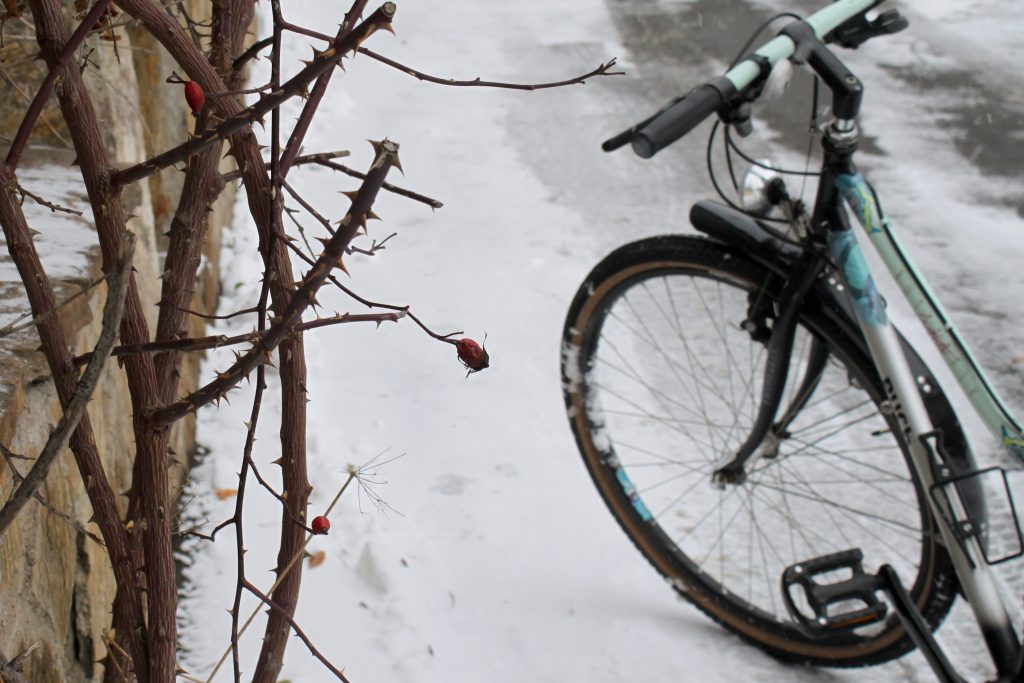 Radfahren im Schnee / Fotocredit: Pia Minixhofer