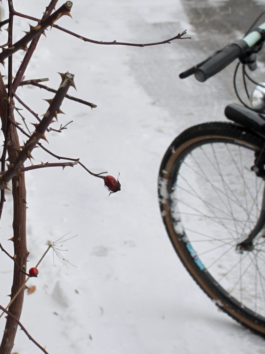 Radfahren im Schnee / Fotocredit: Pia Minixhofer